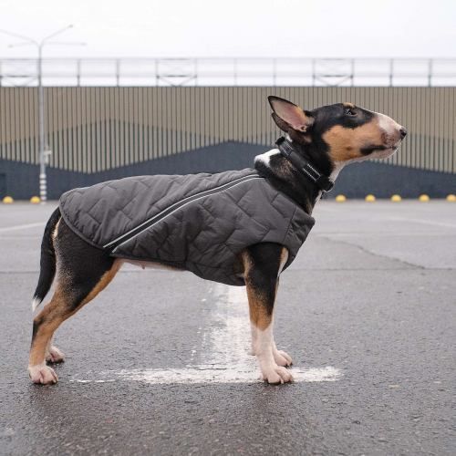 Жилет Pet Fashion &laquo;E.Vest&raquo; для собак, розмір SM, сірий PR242438 фото