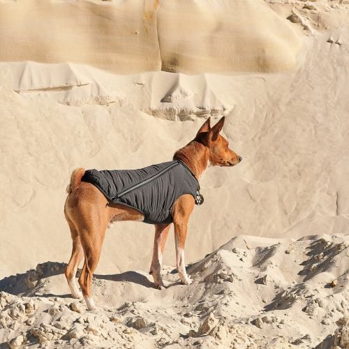 Жилет Pet Fashion &laquo;E.Vest&raquo; для собак, розмір SM, сірий PR242438 фото
