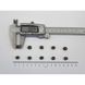 Сухой корм Carnilove True Fresh Cat для взрослых кошек, с курицей, 1,8 кг 172163 фото 6