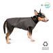 Жилет Pet Fashion &laquo;E.Vest&raquo; для собак, розмір SM, сірий PR242438 фото 2