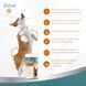 Витамины 8in1 Excel Glucosamine для щенков и взрослых собак, для суставов, 55 шт 661827 фото 10