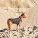 Жилет Pet Fashion &laquo;E.Vest&raquo; для собак, розмір SM, сірий PR242438 фото 5
