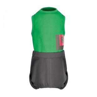Костюм Pet Fashion &laquo;Aleks&raquo; для собак, розмір XS, зелений PR243053 фото