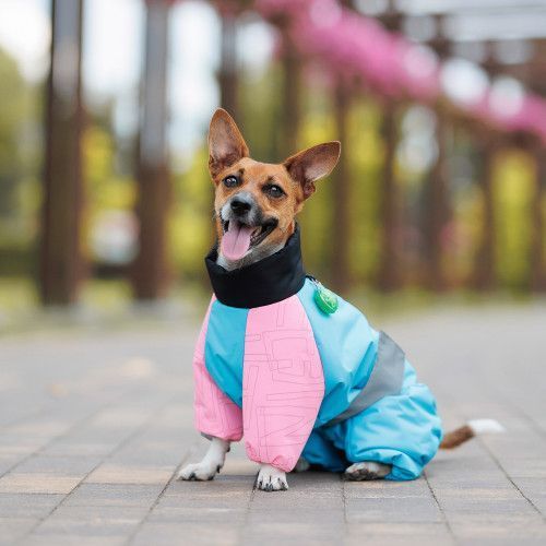 Комбінезон Pet Fashion Milly дівчинка для собак S2 PR243985 фото