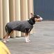 Жилет Pet Fashion &laquo;E.Vest&raquo; для собак, розмір XS2, сірий PR242436 фото 3