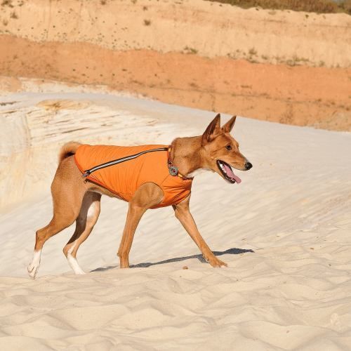 Жилет Pet Fashion &laquo;E.Vest&raquo; для собак, розмір XL, помаранчевий PR242434 фото