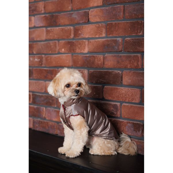 Жилет Pet Fashion Hardy для собак утеплений водонепроникний з отвором для повідця бежевий розмір M2 PR243746 фото