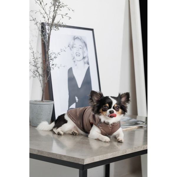 Жилет Pet Fashion Hardy для собак утеплений водонепроникний з отвором для повідця бежевий розмір M2 PR243746 фото