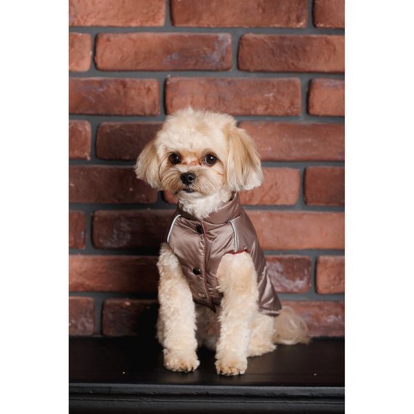 Жилет Pet Fashion Hardy для собак утеплений водонепроникний з отвором для повідця бежевий розмір M2 PR243746 фото