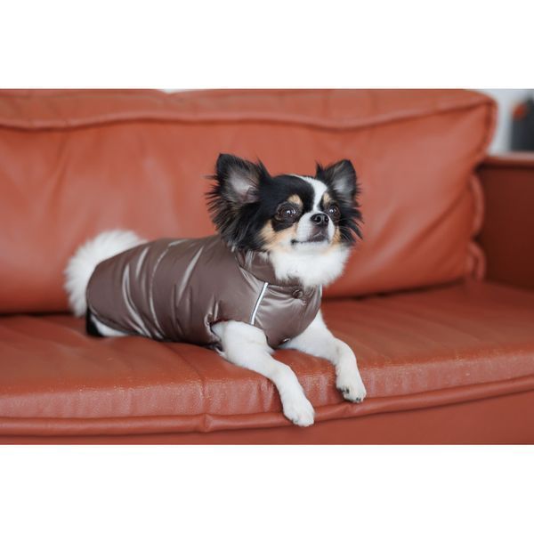 Жилет Pet Fashion Hardy для собак утеплений водонепроникний з отвором для повідця бежевий розмір M2 PR243746 фото