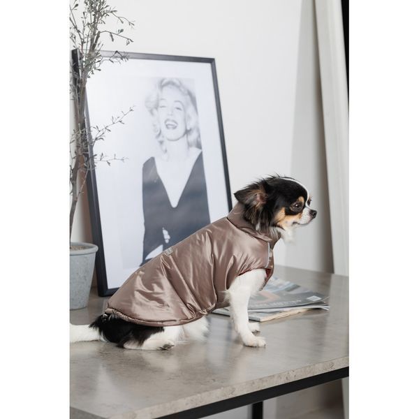 Жилет Pet Fashion Hardy для собак утеплений водонепроникний з отвором для повідця бежевий розмір M2 PR243746 фото