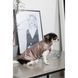 Жилет Pet Fashion Hardy для собак утеплений водонепроникний з отвором для повідця бежевий розмір M2 PR243746 фото 6