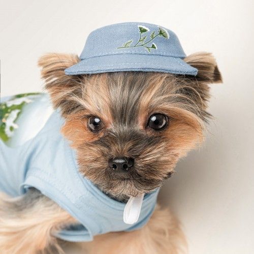 Панама Pet Fashion для собак Blue S с цветочным принтом PR243423 фото