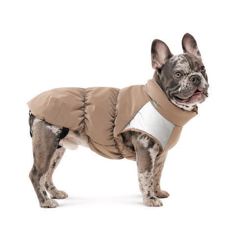Жилет Pet Fashion Chip для собак S3 PR243893 фото