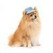 Панама Pet Fashion для собак Blue S с цветочным принтом PR243423 фото 2