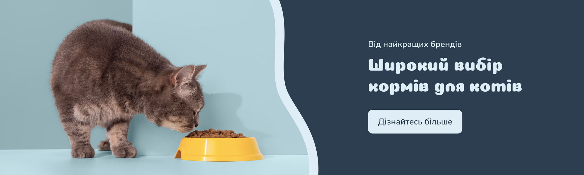 Banner from design