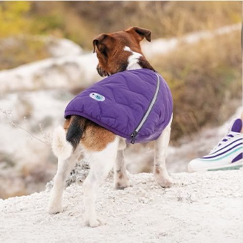 Жилет Pet Fashion &laquo;E.Vest&raquo; для собак, розмір SM, фіолетовий PR242422 фото